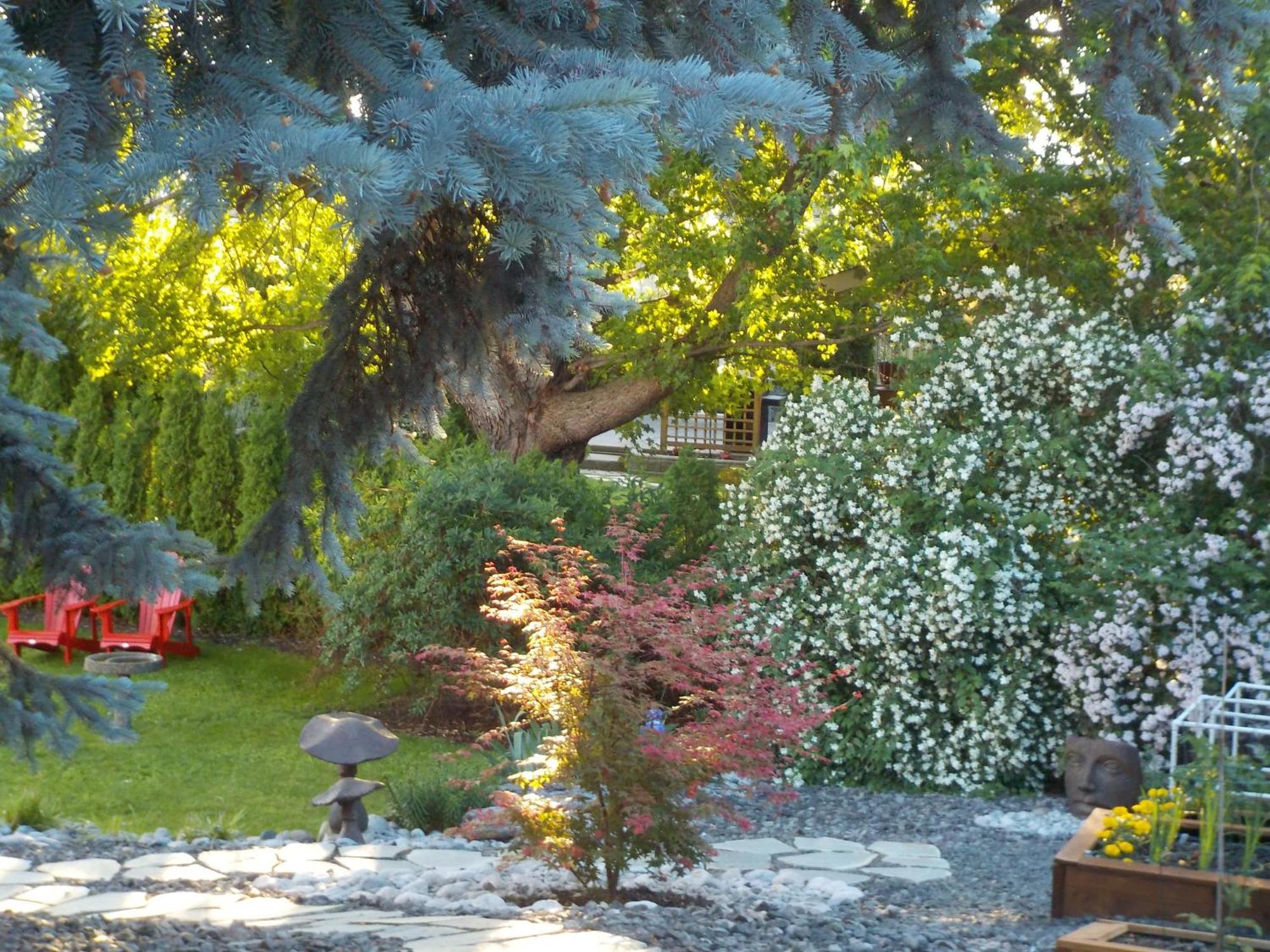 Dogwood Bed & Breakfast Summerland Zewnętrze zdjęcie